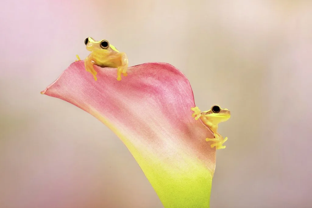 2022-09-30 001 114-Edit merged 2 SIZED.jpg