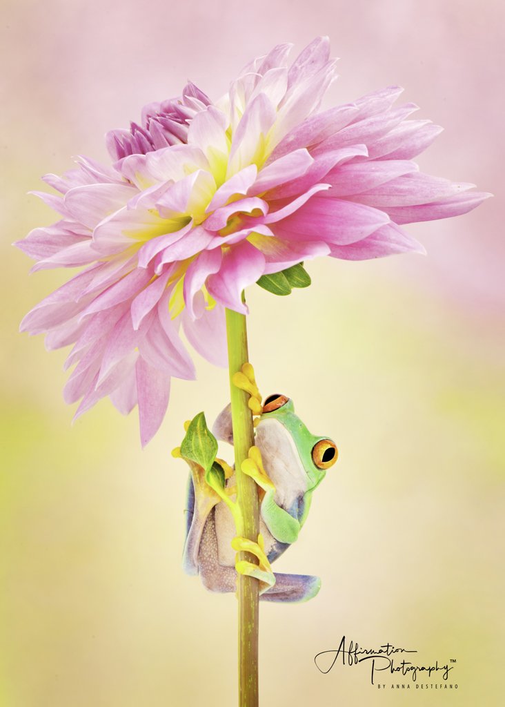 2022-08-25 001 116-Edit merged 2-1.jpg