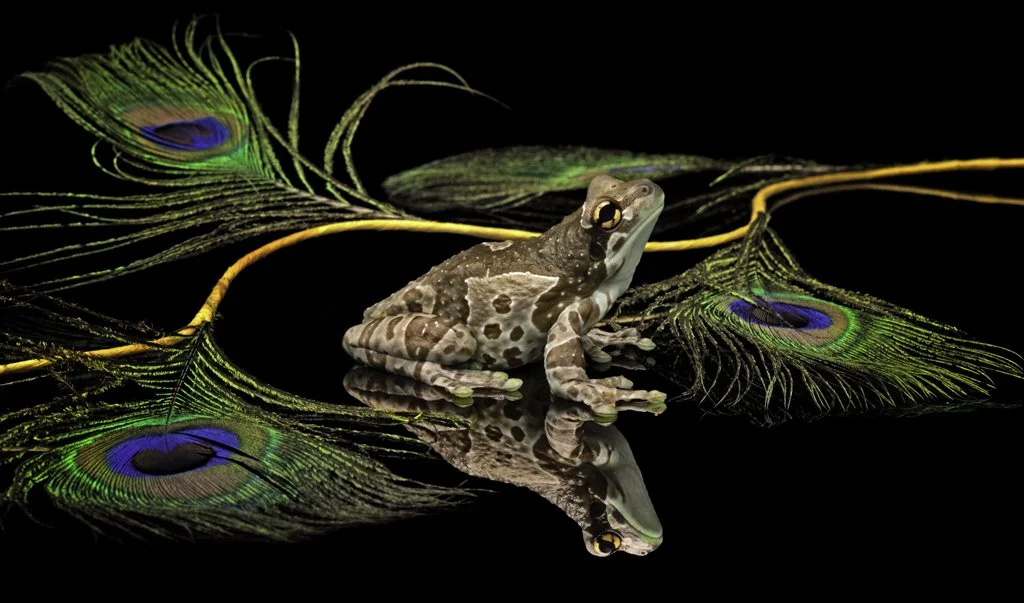 2022-09-30 001 158-Edit merged 3 SIZED.jpg