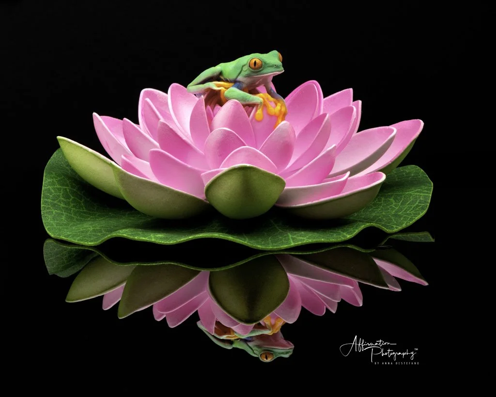 2022-08-25 001 303-Edit-2 SIZED landscape-1 SIZED.jpg