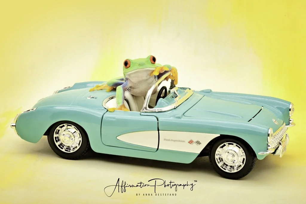 2022-08-25 001 214-Edit merged 2-1 sized.jpg