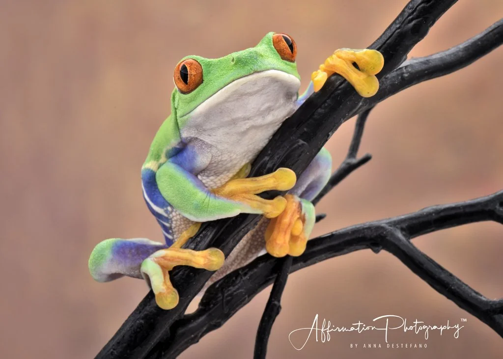 2022-08-25 001 150-Edit merged-1 SIZED.jpg