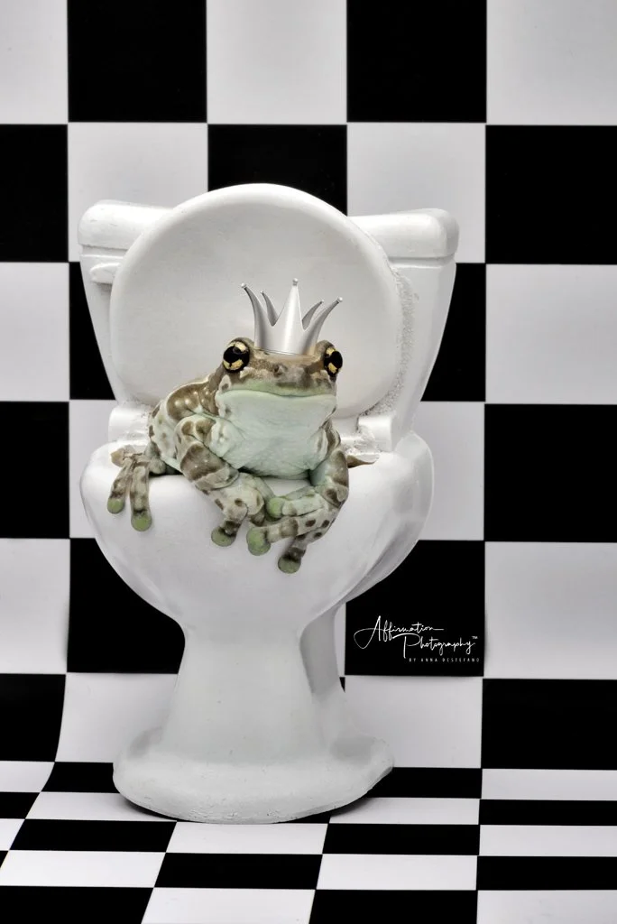 2022-08-25 001 264-Edit merged 2-1 SIZED.jpg