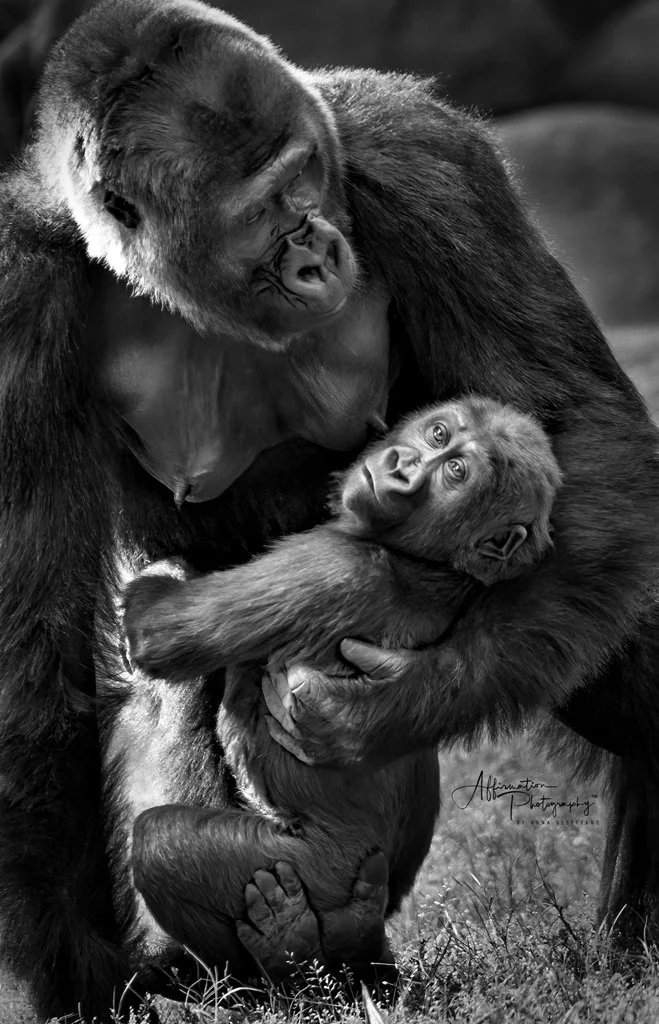 2019-04-17 001 363 - Copy-denoise merged 4 BW MERGED Silver Efex merged darker-1 SIZED.jpg