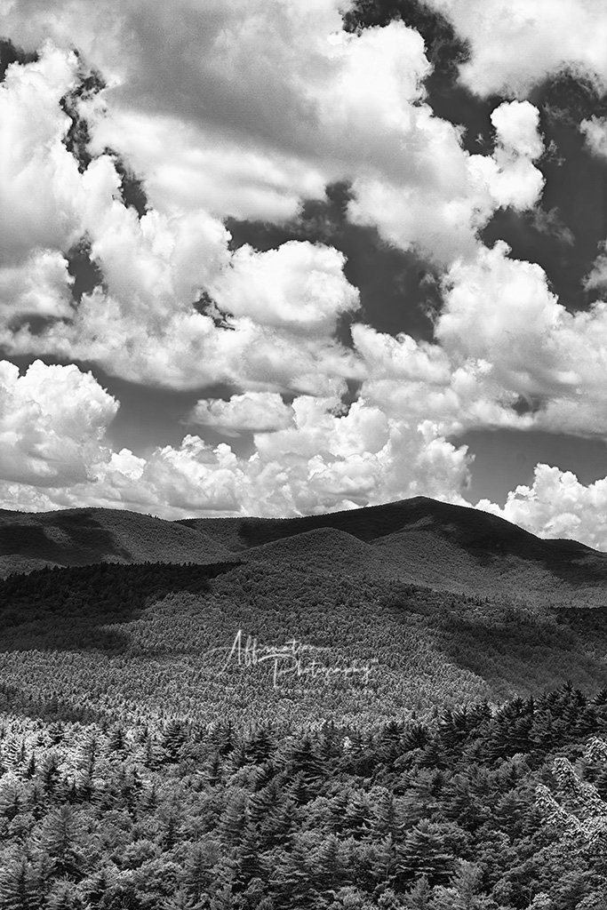 2017-07-13 001 176 VERSION 2 MERGED  NEW 2 BW FDS SIZED-1.jpg