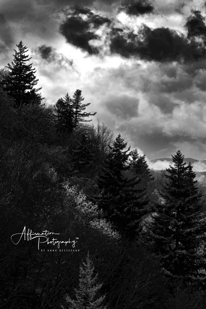 2022-05-04 003 012-Edit merged 2 TRIPTYCH R3-1 SIZED.jpg