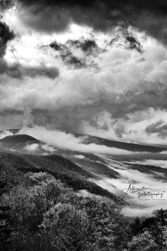 2022-05-04 003 012-Edit merged 2 TRIPTYCH R2-1 SIZED.jpg