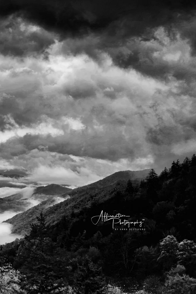 2022-05-04 003 012-Edit merged 2 TRIPTYCH R1-1 SIZED.jpg