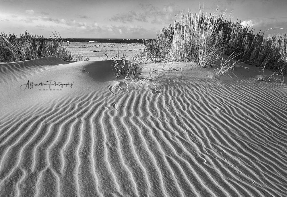 2018-08-25 001 089 - Copy jpg 3 SIZED-1.jpg