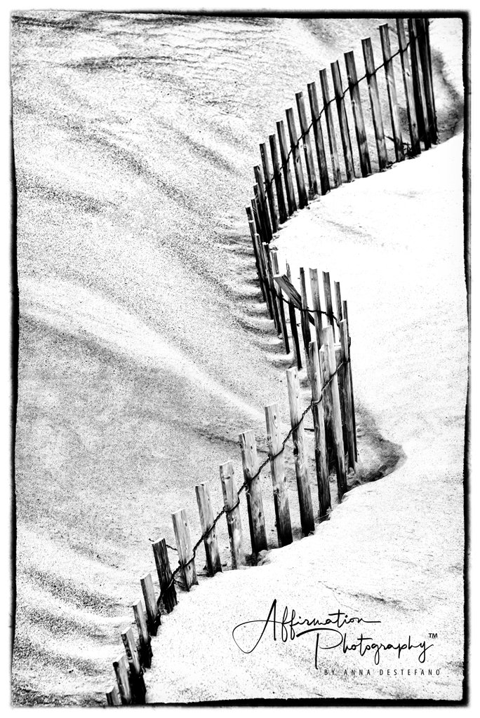 2020-09-17 002 039-DeNoiseAI-clear merged 2-1 SIZED.jpg