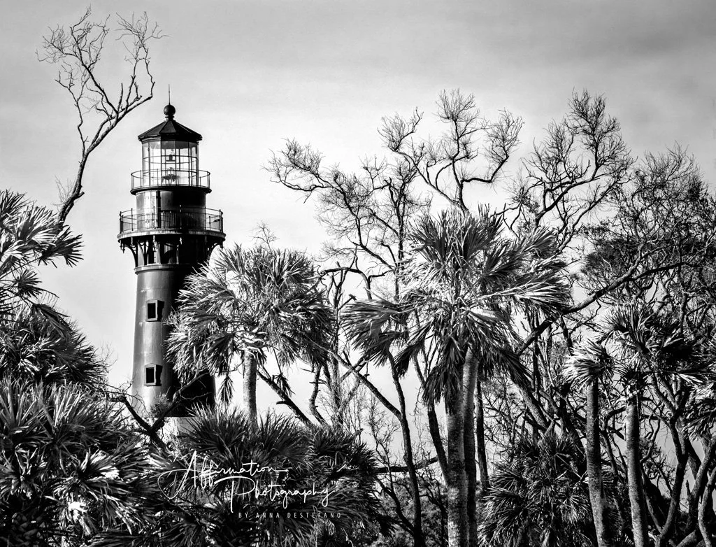 2019-03-07 001 035-HDR-1 MERGED 4 INFRARED-1 sized.jpg