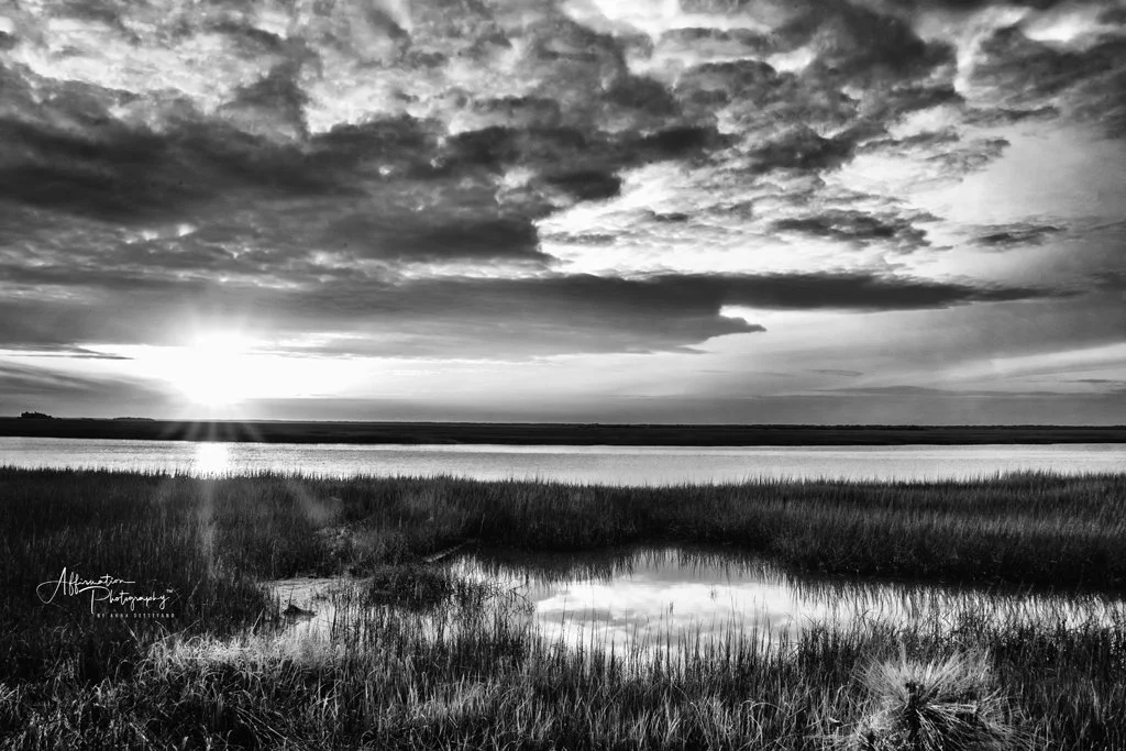 2019-03-08 001 066-HDR-1 merged DENOISE-Edit bw 2-1 SIZED.jpg