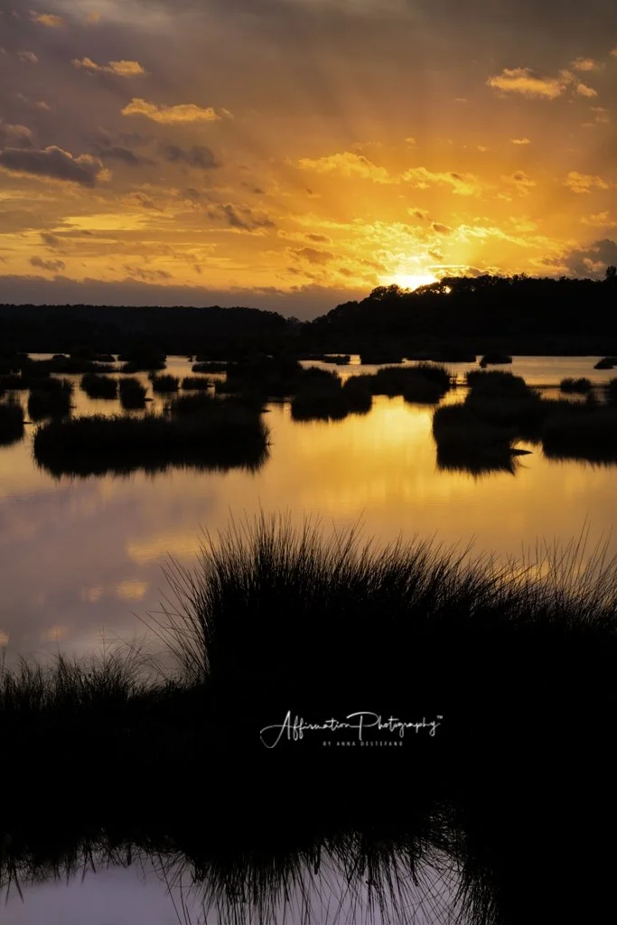 2021-12-09 002 028 HDR MERGED 3 sized-1.jpg