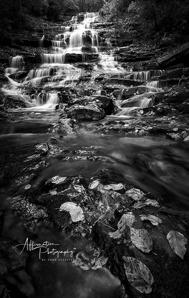 2018-11-05 001 068-HDR-Edit BW MERGED SIZED-1.jpg