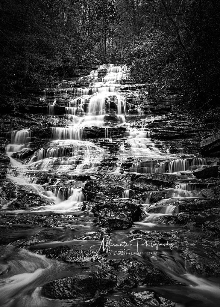 2018-11-05 001 102-HDR-Edit - BW MERGED SIZED-1.jpg