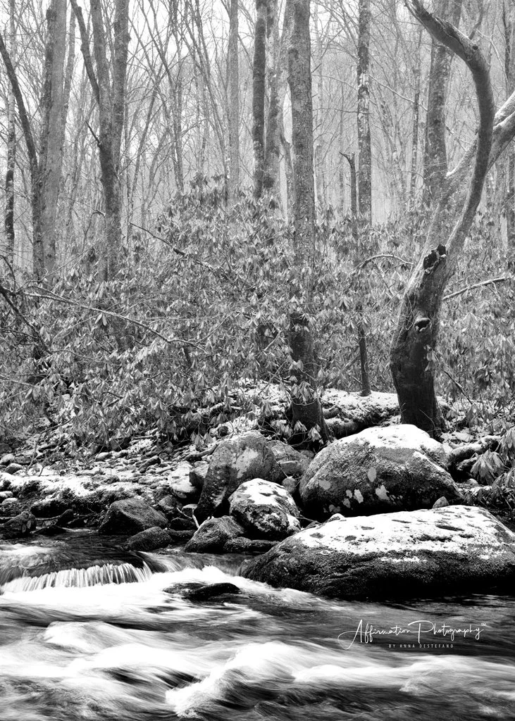 2021-02-01 001 085-Edit merged 2 BW-1 SIZED.jpg