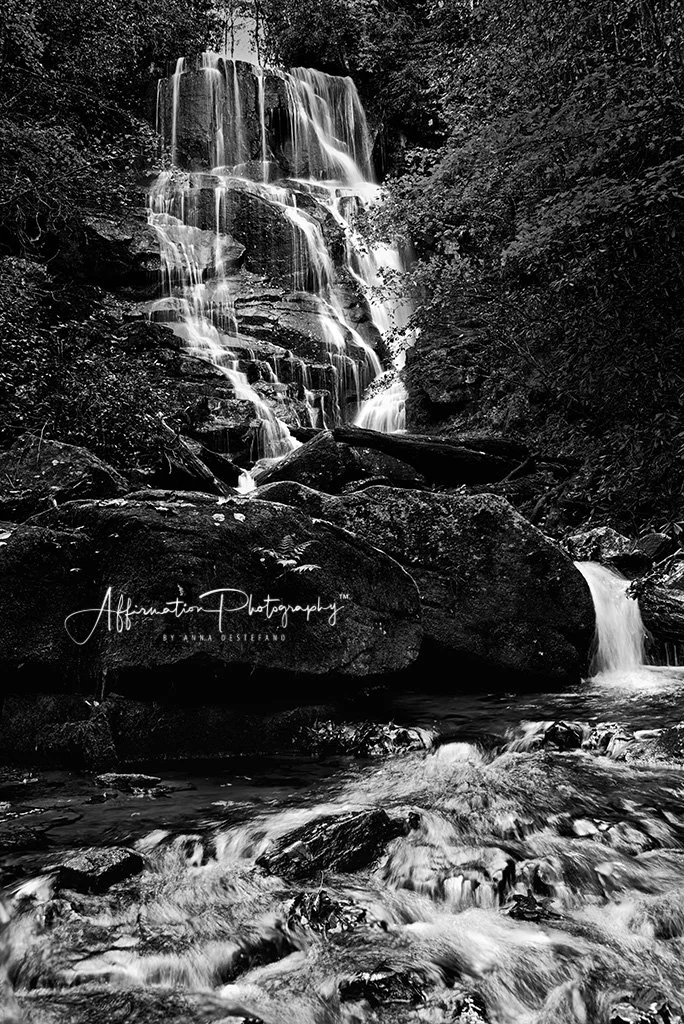 2018-10-31 001 143-Edit MERGED 3 BW SIZED-1.jpg