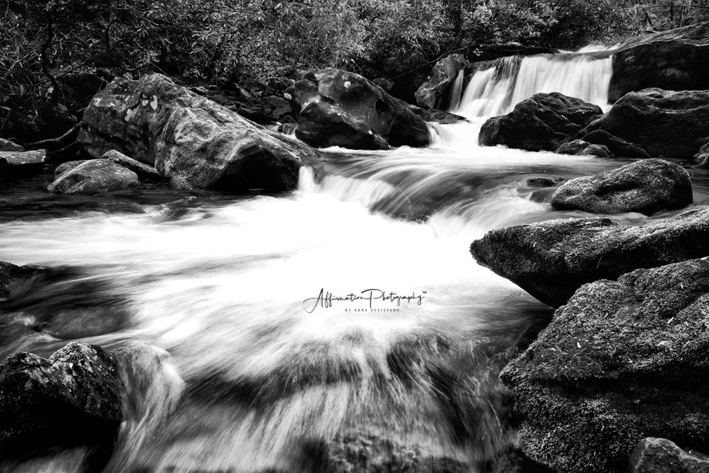 2021-04-24 001 260-Edit merged BW-1.jpg