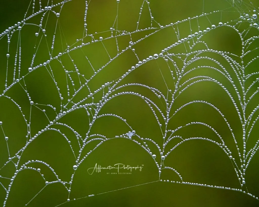 2021-09-30 001 114-Edit merged 2 SIZED-1.jpg