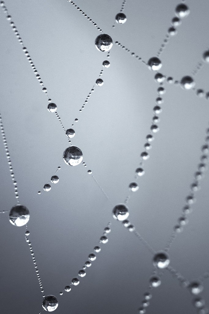 2017-10-24 001 171 JPG 1 SIZED.jpg