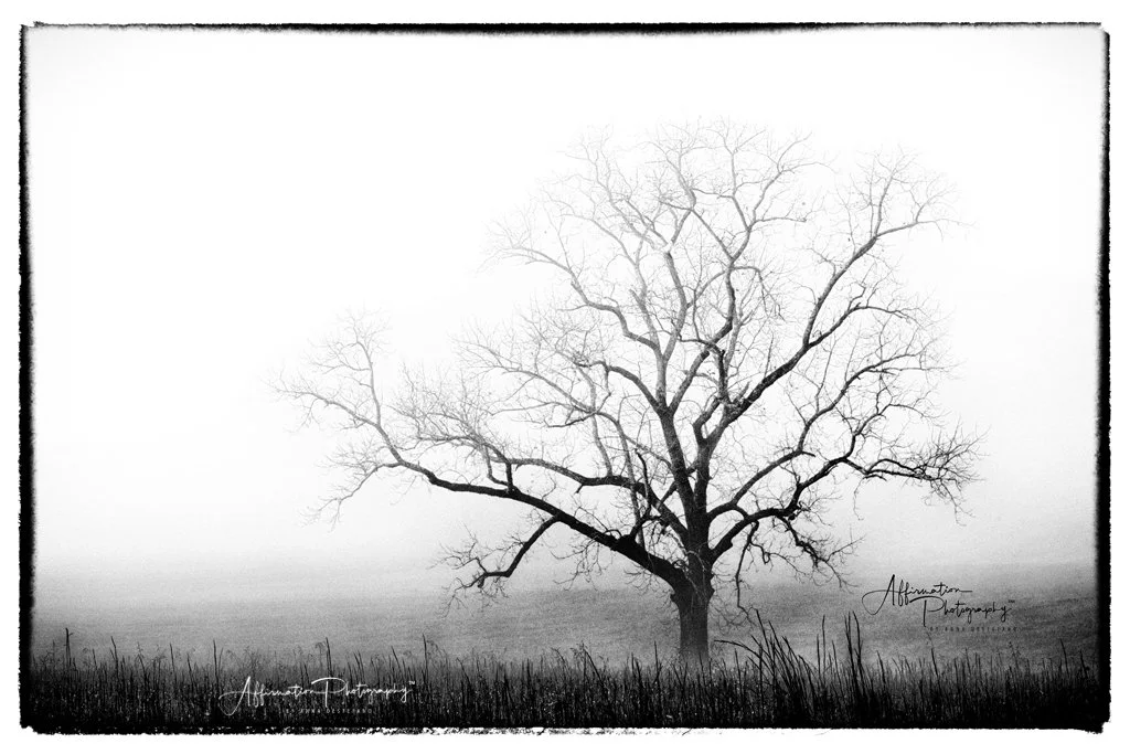 2021-11-05 004 236 MERGED 2 BW-1 sized-1.jpg