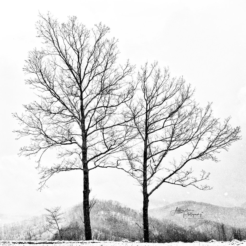 2020-02-07 001 147-Edit merged-1 SIZED.jpg