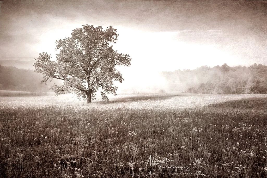 2021-06-04 001 074 merged 3 sepia sized-1.jpg