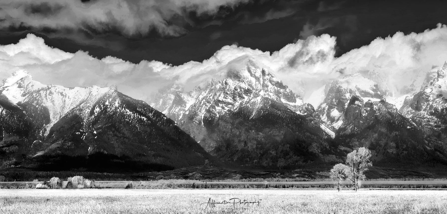 2021-05-26 001 284 SCALE merged 2 crop BW crop-1.jpg