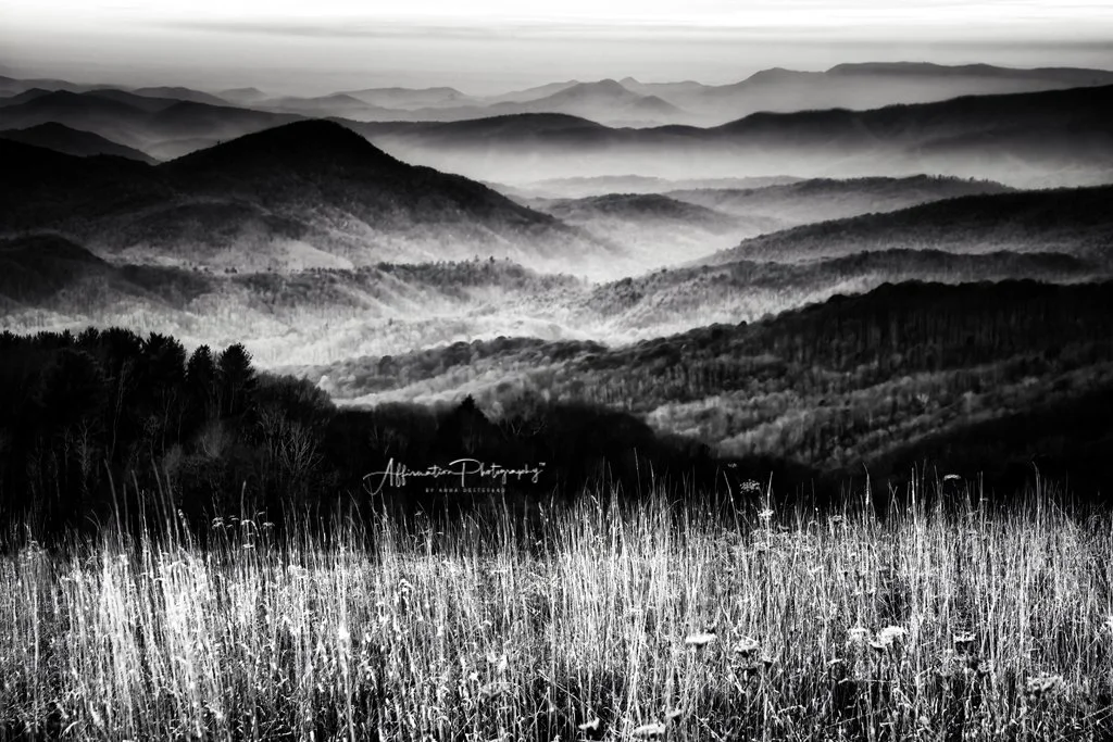 2023-11-01 002 1027-HDR-LR merged MONO FINAL-1.jpg