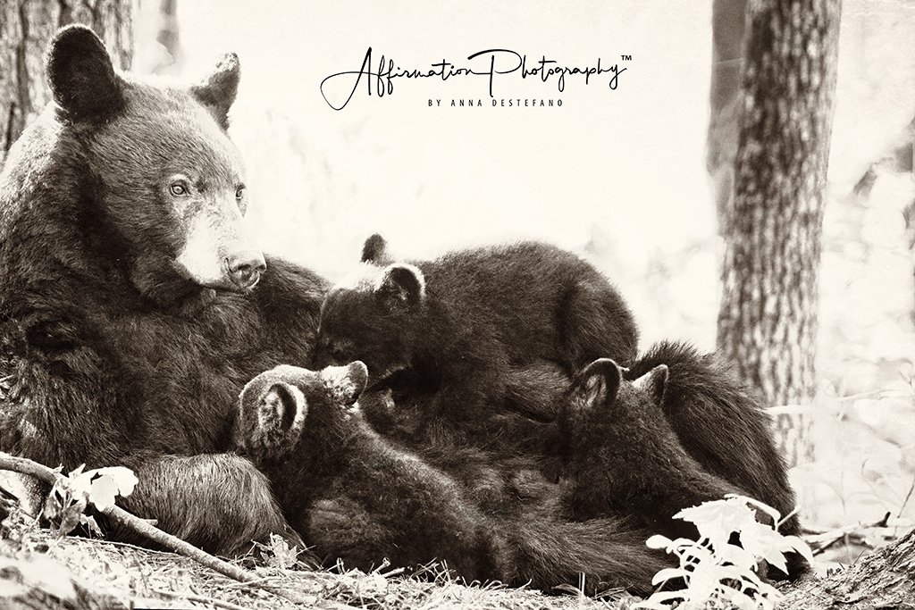 2021-05-15 001 506-Edit merged 3 bw sepia-1 SIZED.jpg