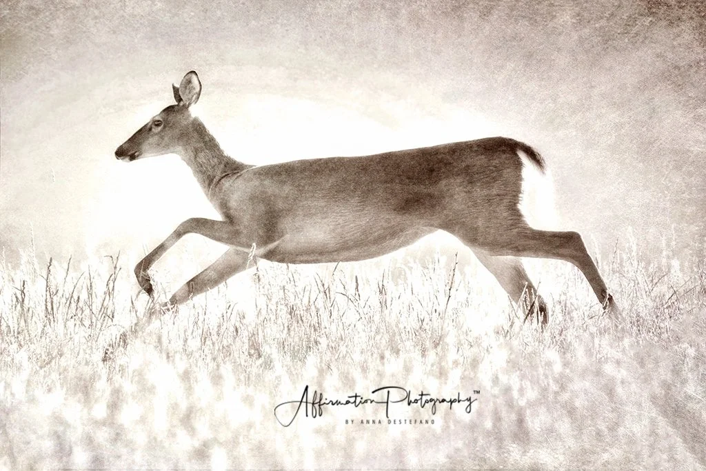 2021-05-15 001 055-Edit merged sepia sized-1.jpg