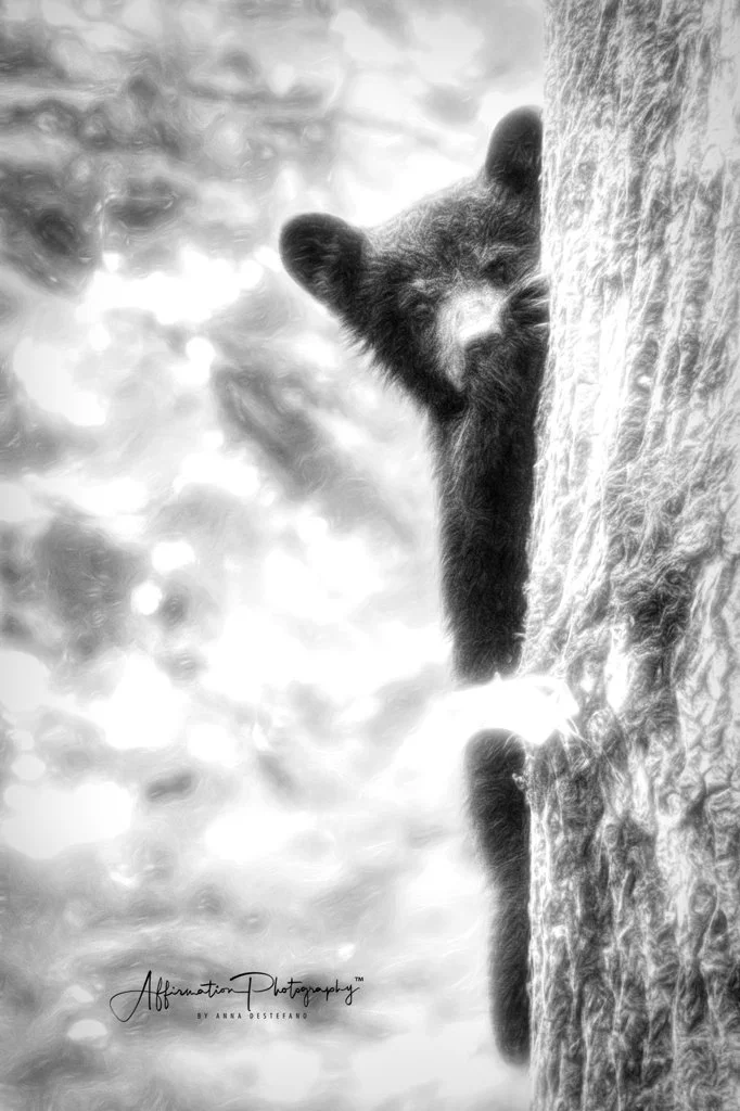 2021-05-12 001 1621-Edit merged BW GLOW-1 sized.jpg