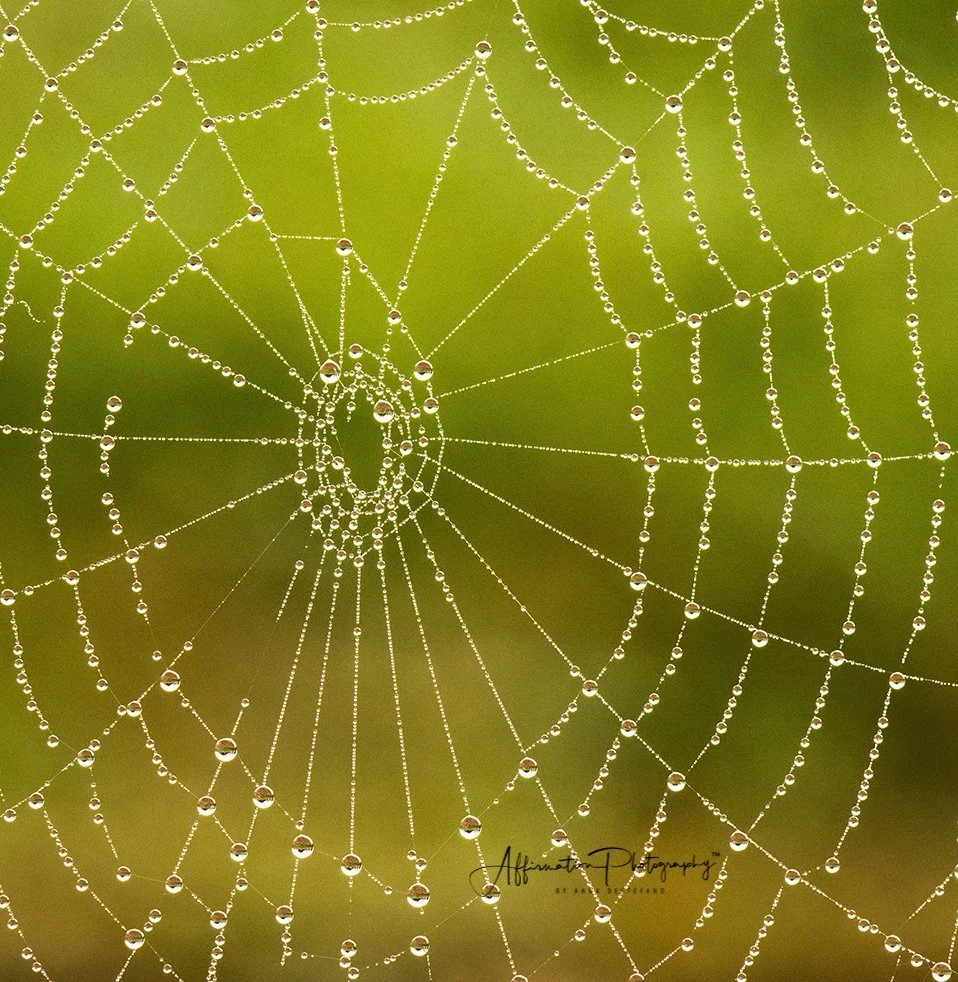 2017-10-24 001 232 JPG 2 SIZED-1.jpg