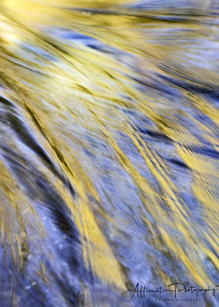 2020-11-03 001 107mmerged-1 sized.jpg