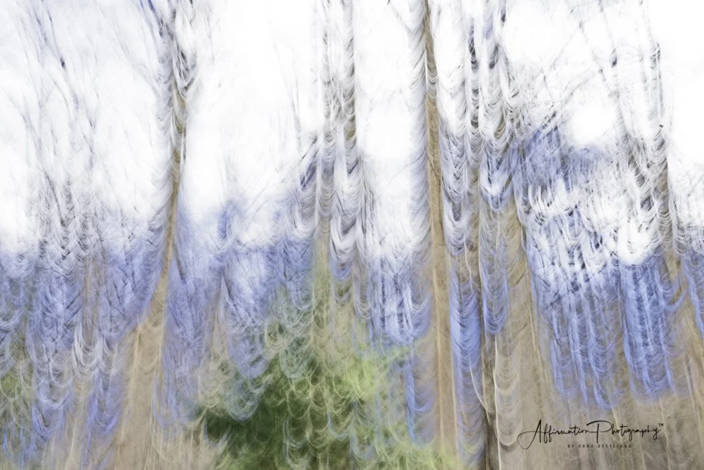 2022-01-24 001 409 merged ORIGINAL sized-1.jpg