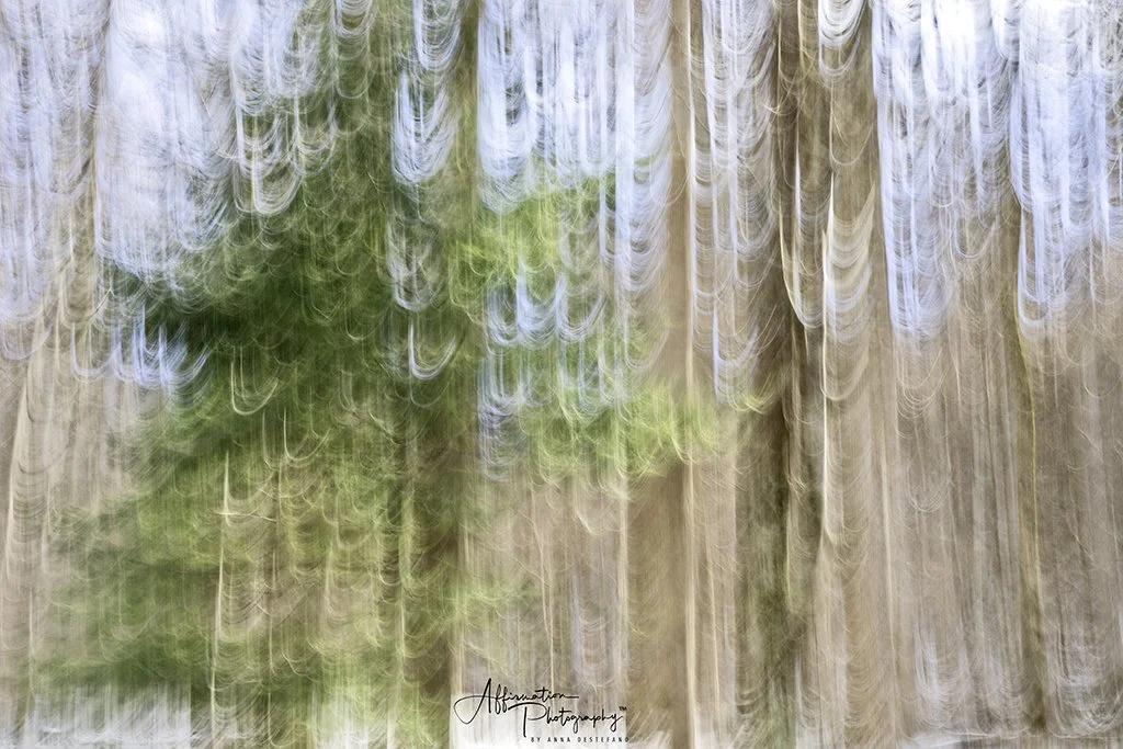 2022-01-24 001 427-Edit-1 sized.jpg