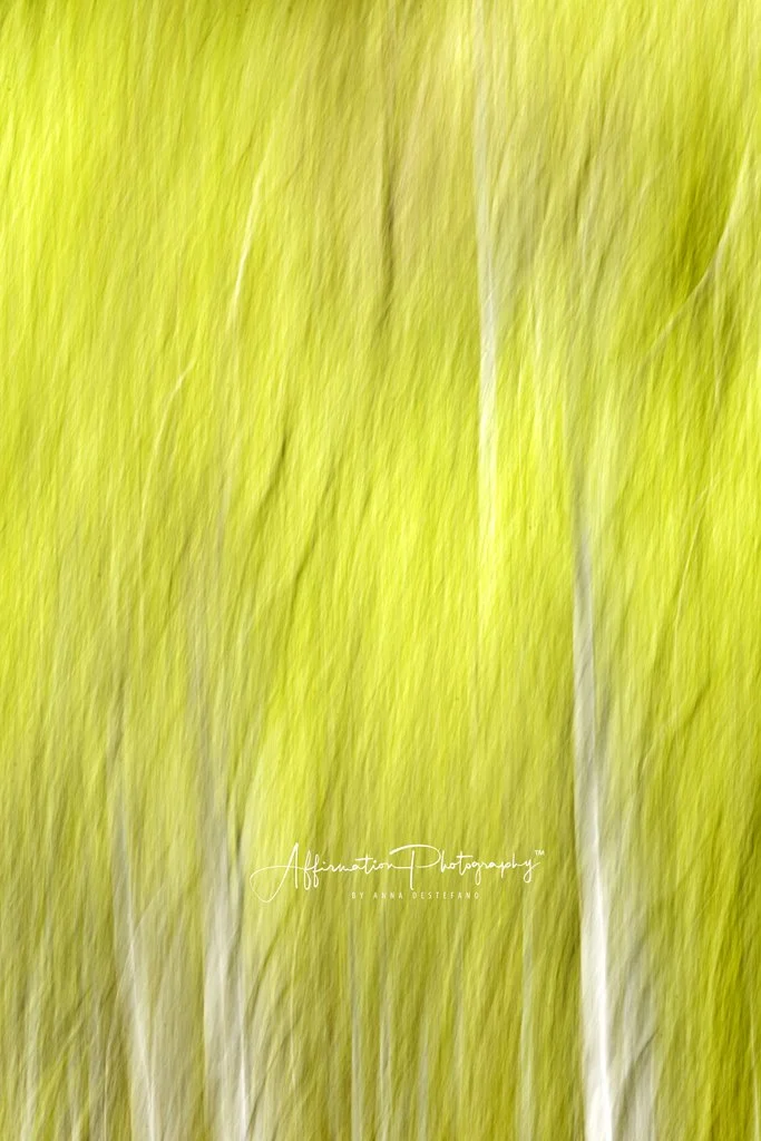 2022-05-29 002 422-Edit MERGED'-1.jpg