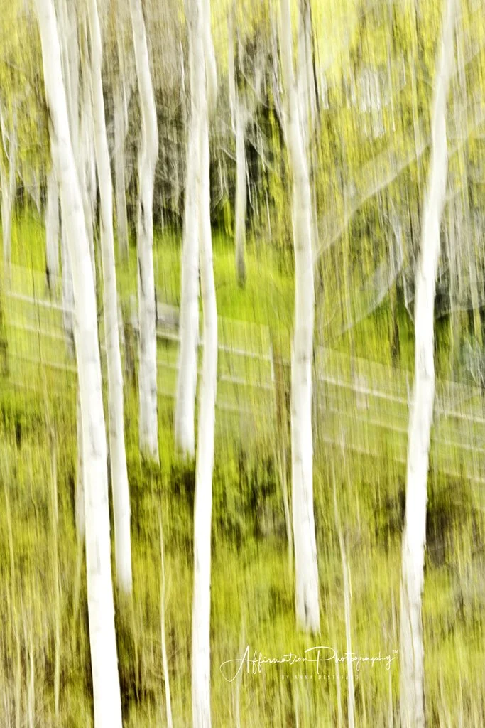 2022-05-29 002 439 EDIT MERGED 2-1.jpg