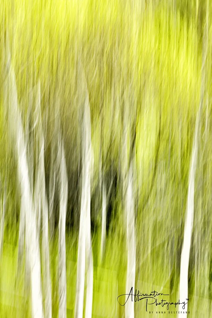 2022-05-29 002 441 EDIT MERGED-1.jpg