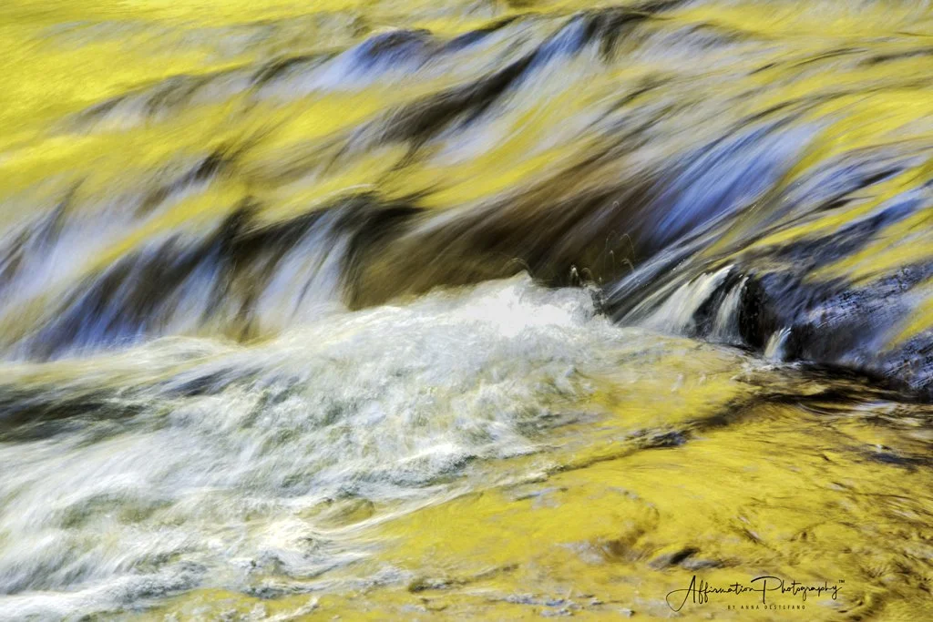 2020-10-20 001 120 merged-1 SIZED.jpg