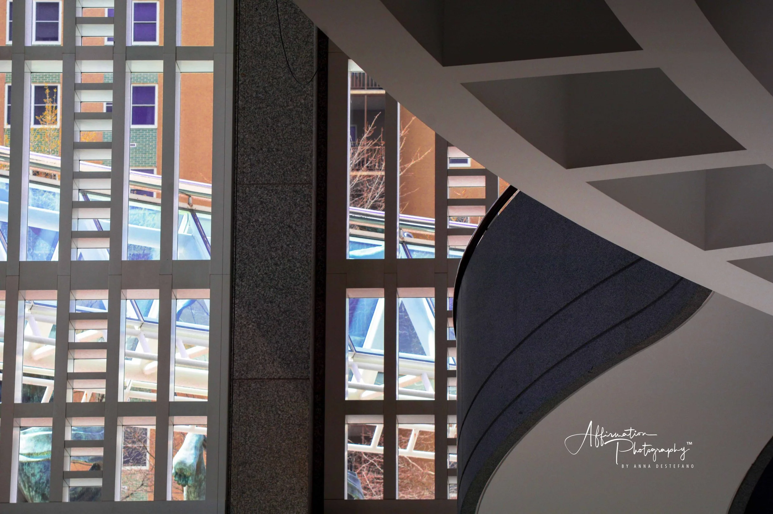 2017-03-18 001 647 JPG 1 SIZED-1.jpg