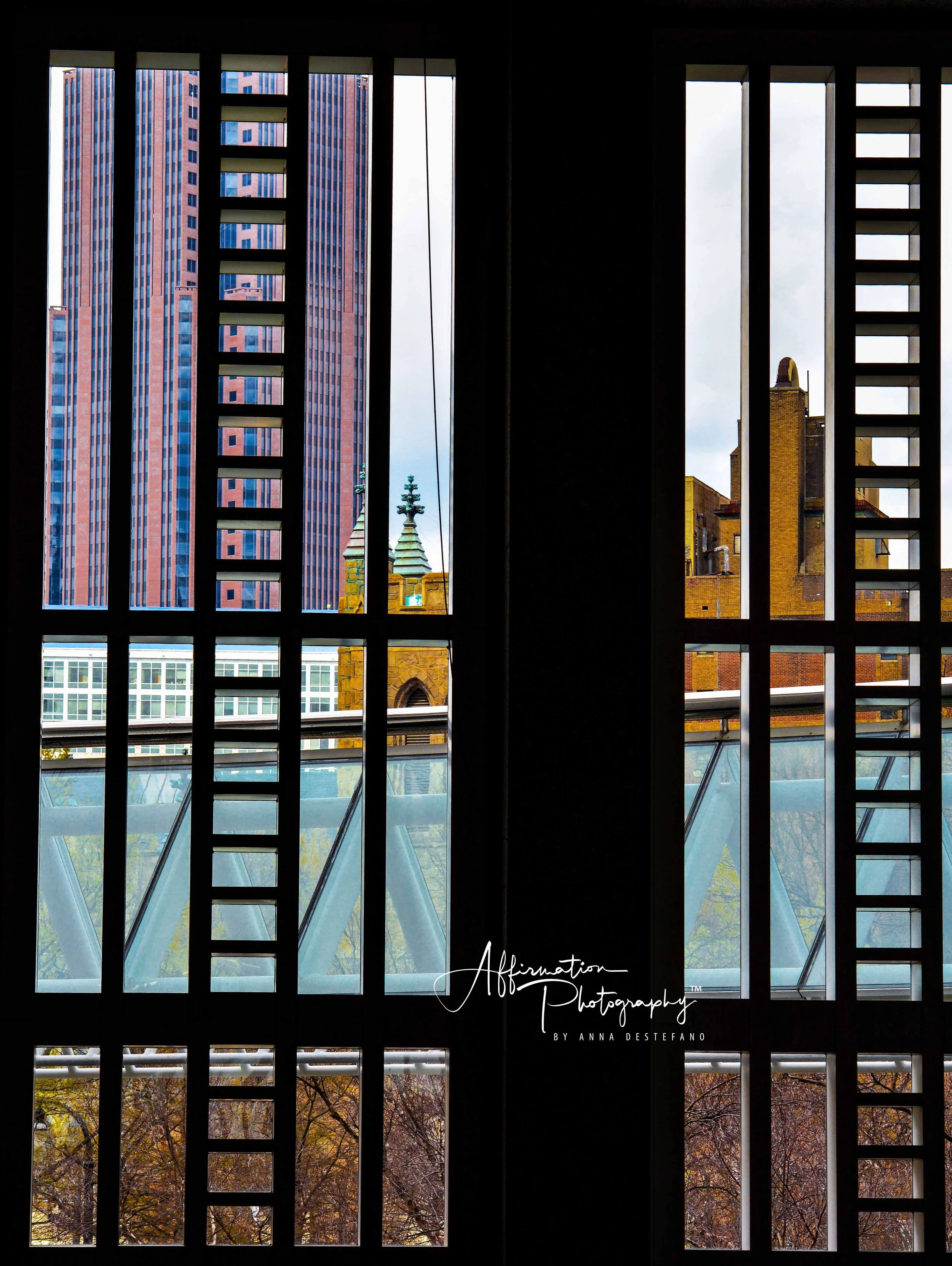 2017-03-18 001 964 JPG 1 SIZED-1.jpg