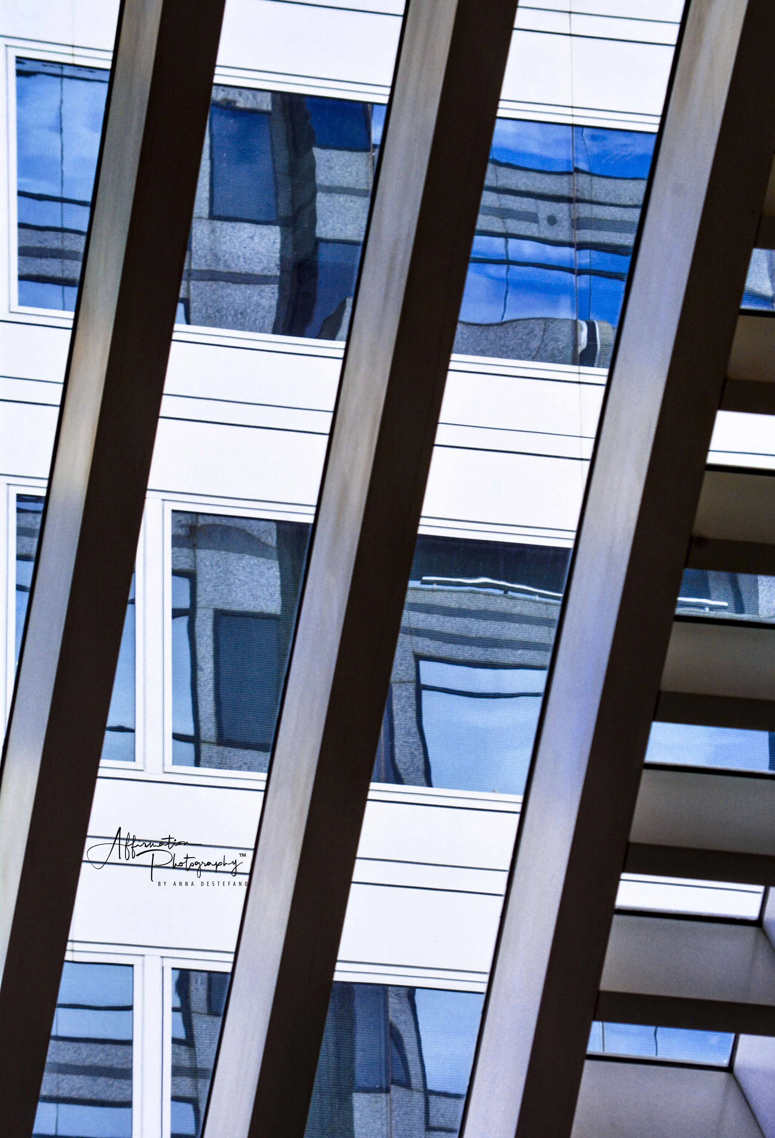 2017-03-18 001 343 JPG 1 SIZED-1.jpg