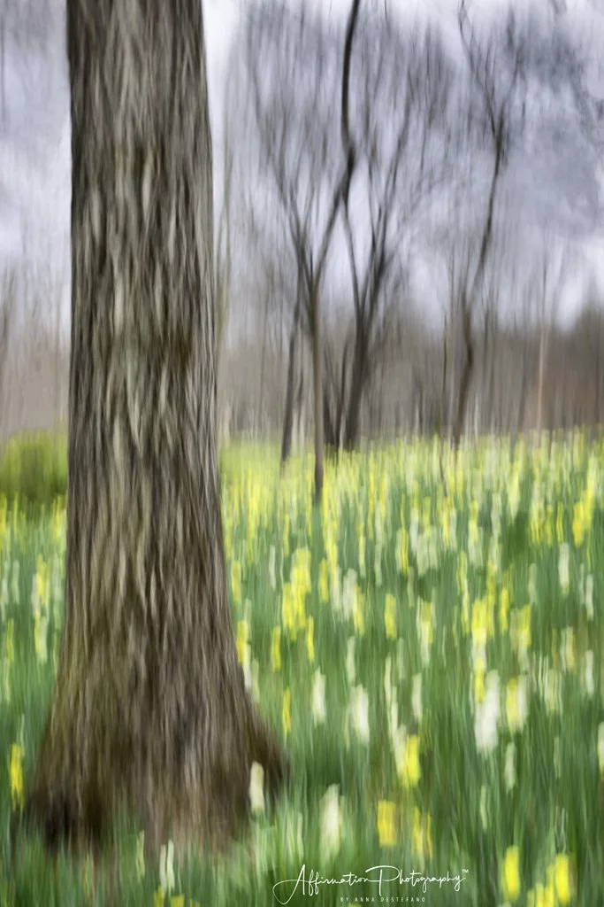 2022-03-10 001 184-Edit merged-1 SIZED.jpg