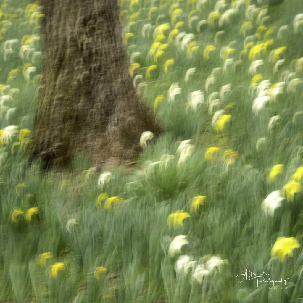 2022-03-10 001 185 CROP 2 merged 2-1 SIZED.jpg