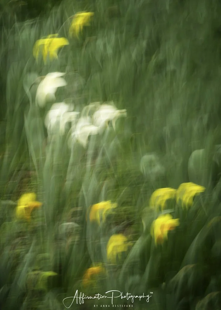 2022-03-10 001 185 CROP 3 merged 2-1 SIZED.jpg