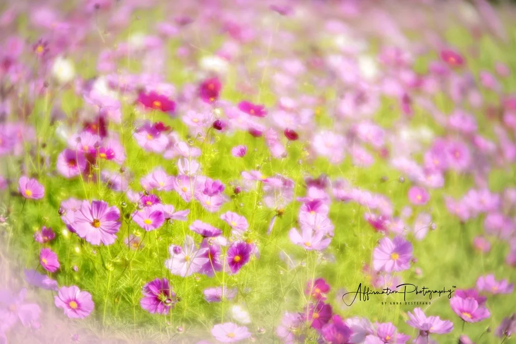 2021-10-08 001 119 MERGED-1 SIZED.jpg