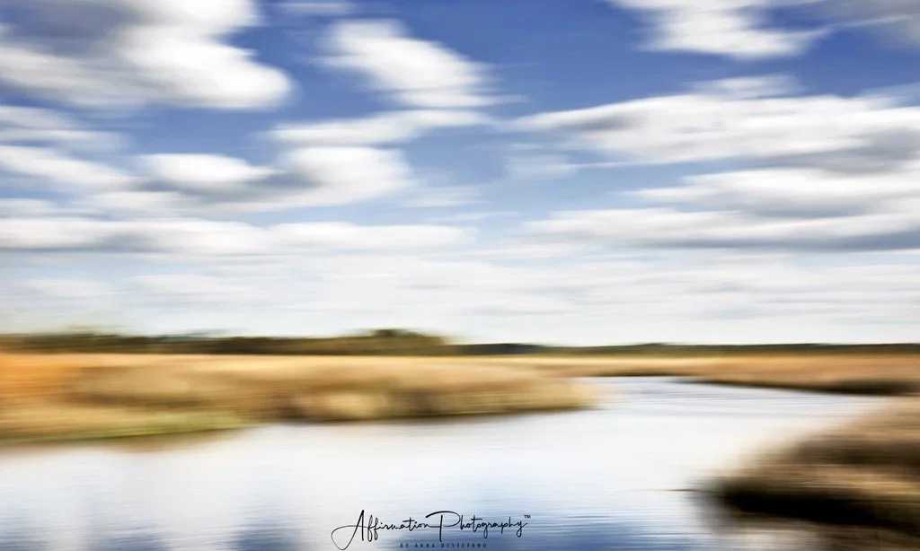 2022-03-25 002 636 merged 2-1 SIZED.jpg