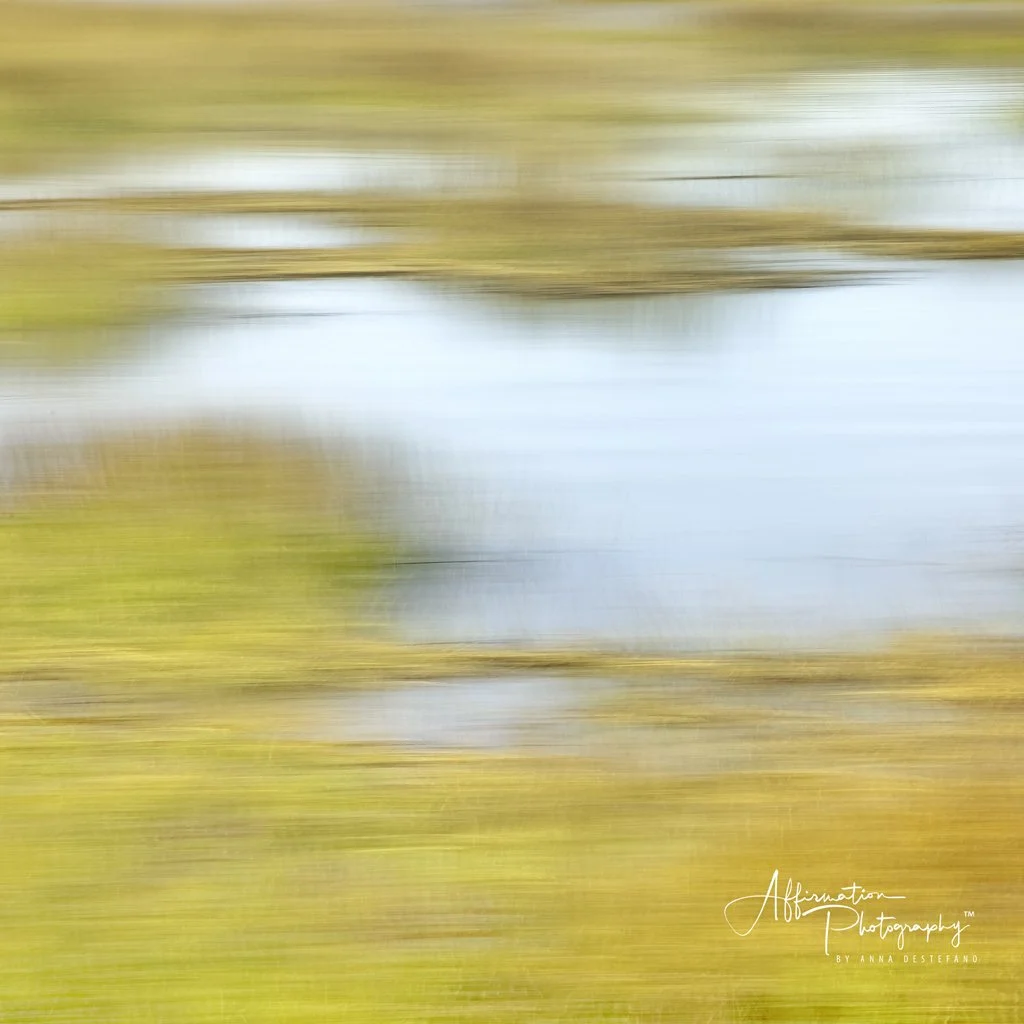 2022-03-21 001 048-1 SIZED.jpg