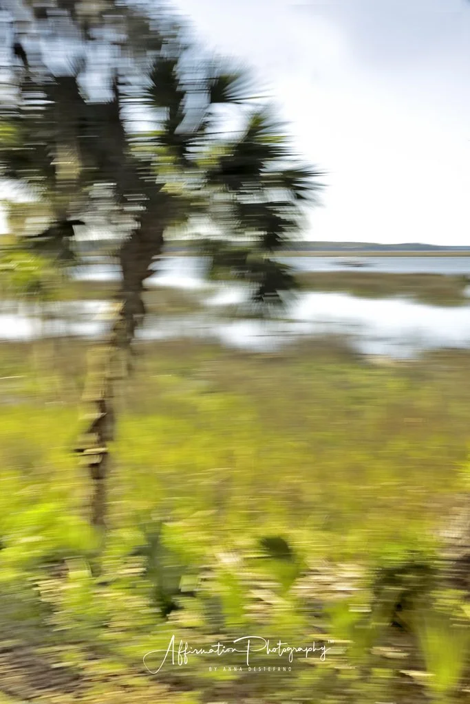 2022-03-21 001 110-1 SIZED.jpg